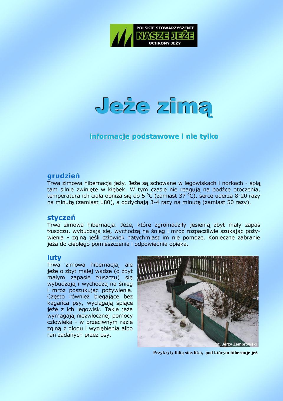 razy). styczeń Trwa zimowa hibernacja.