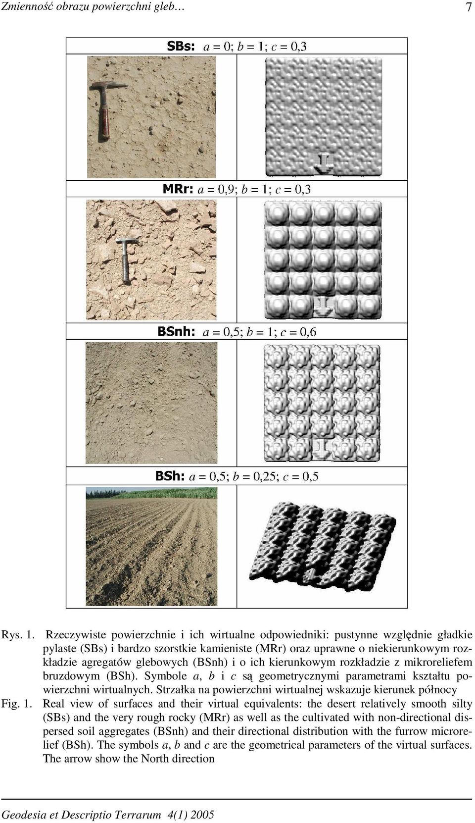 i o ich kierunkowym rozkładzie z mikroreliefem bruzdowym (BSh). Symbole a, b i c są geometrycznymi parametrami kształtu powierzchni wirtualnych.