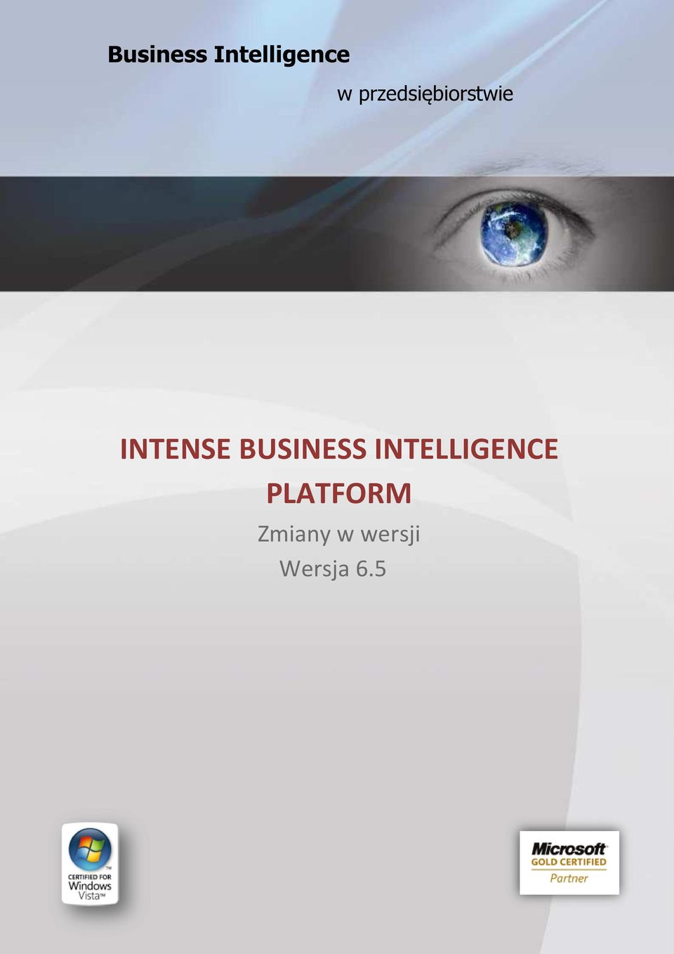 BUSINESS INTELLIGENCE