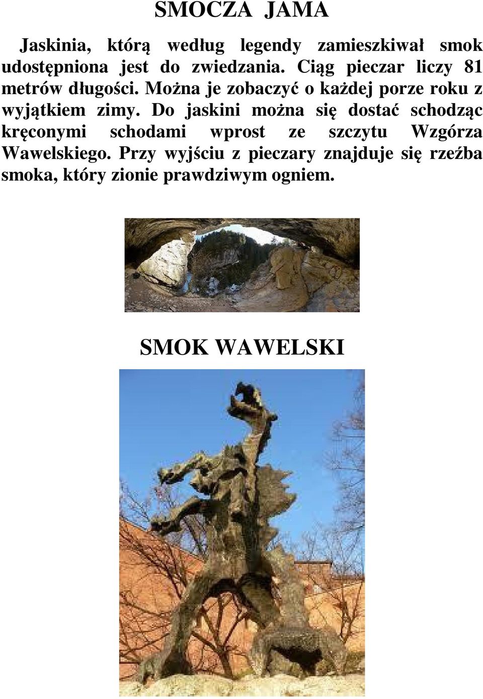 Do jaskini mo na si dosta schodz c kr conymi schodami wprost ze szczytu Wzgórza Wawelskiego.