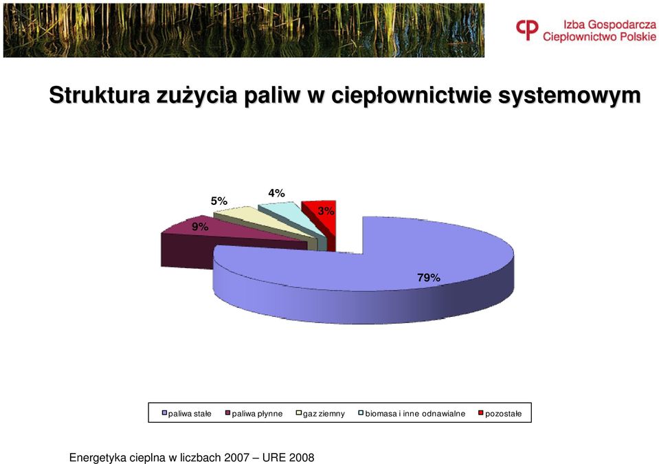 płynne gaz ziemny biomasa i inne odnawialne