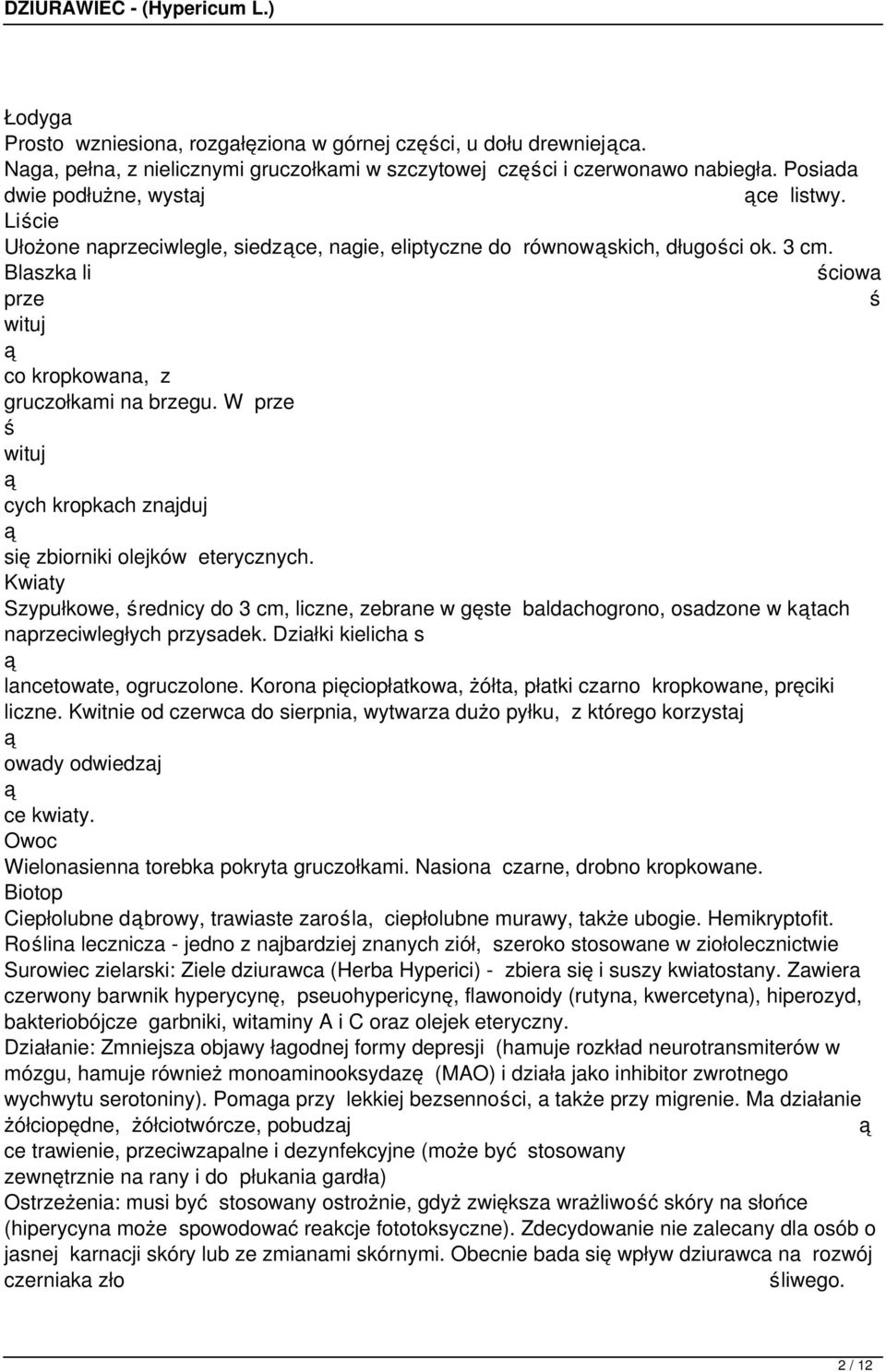 W prze wituj cych kropkach znajduj się zbiorniki olejków eterycznych. Kwiaty Szypułkowe, rednicy do 3 cm, liczne, zebrane w gęste baldachogrono, osadzone w ktach naprzeciwległych przysadek.