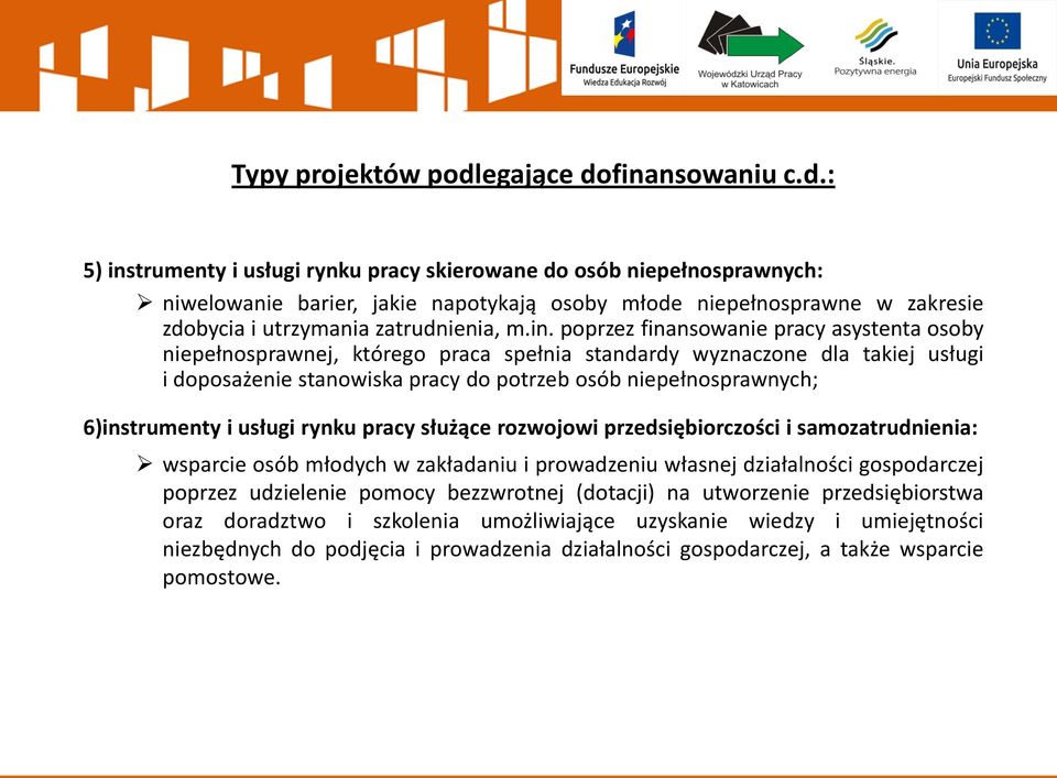 in. poprzez finansowanie pracy asystenta osoby niepełnosprawnej, którego praca spełnia standardy wyznaczone dla takiej usługi i doposażenie stanowiska pracy do potrzeb osób niepełnosprawnych;