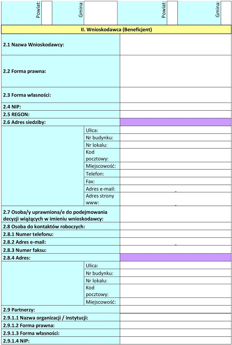 7 Osoba/y uprawniona/e do podejmowania decyzji wiążących w imieniu wnioskodawcy: 2.8 Osoba do kontaktów roboczych: 2.8.1 Numer telefonu: 2.8.2 Adres e-mail: 2.