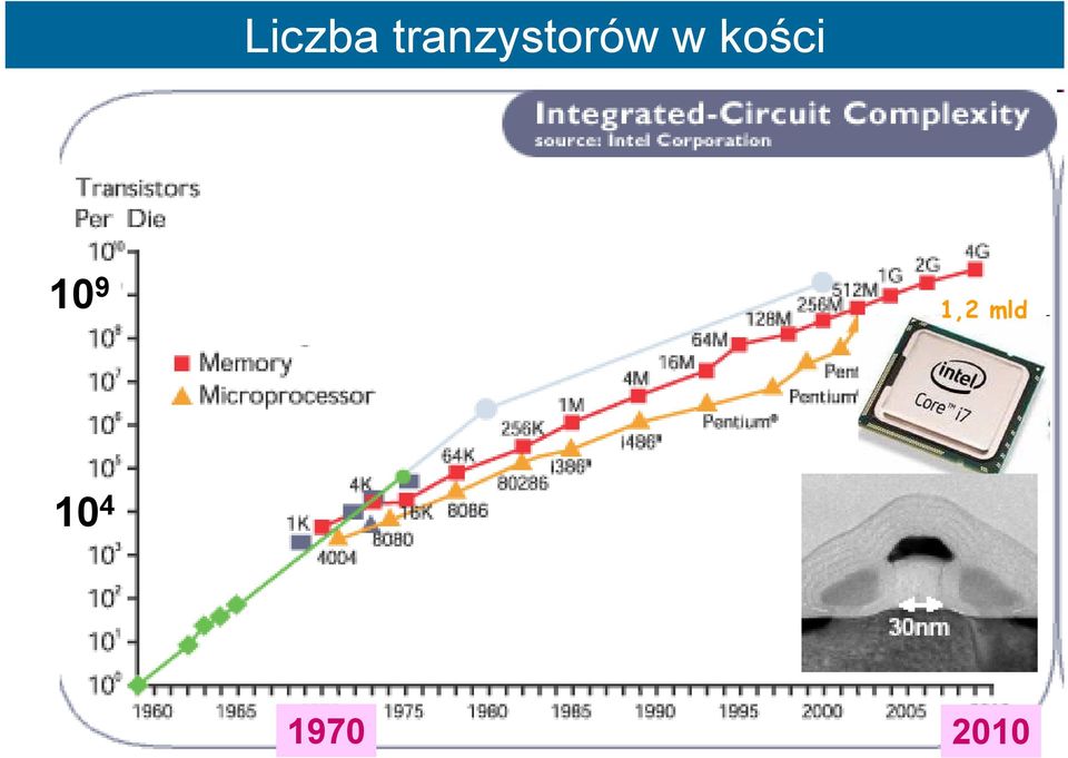 w kości 10 9