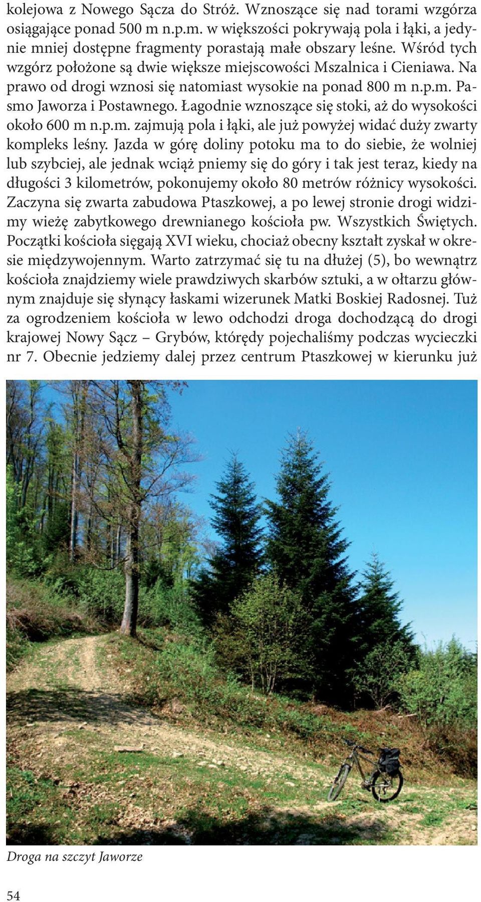 Łagodnie wznoszące się stoki, aż do wysokości około 600 m n.p.m. zajmują pola i łąki, ale już powyżej widać duży zwarty kompleks leśny.