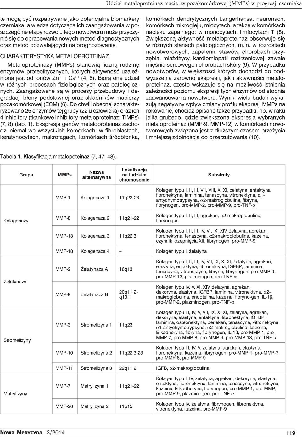 Charakterystyka metaloproteinaz Metaloproteinazy (MMPs) stanowią liczną rodzinę enzymów proteolitycznych, których aktywność uzależniona jest od jonów Zn 2+ i Ca 2+ (4, 5).