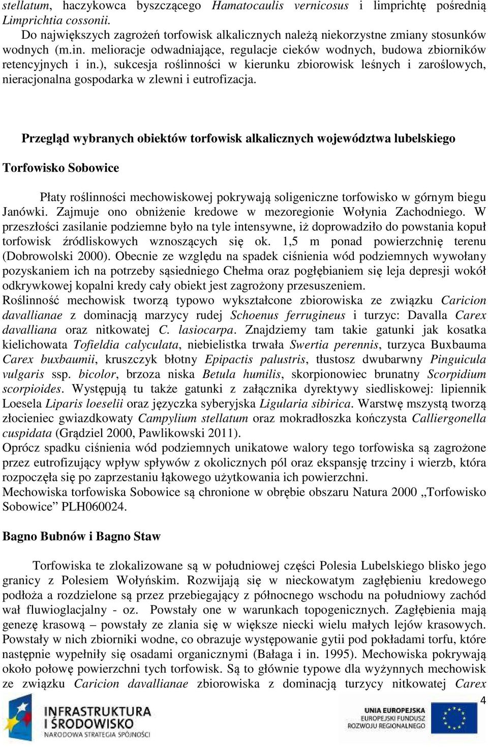 ), sukcesja roślinności w kierunku zbiorowisk leśnych i zaroślowych, nieracjonalna gospodarka w zlewni i eutrofizacja.