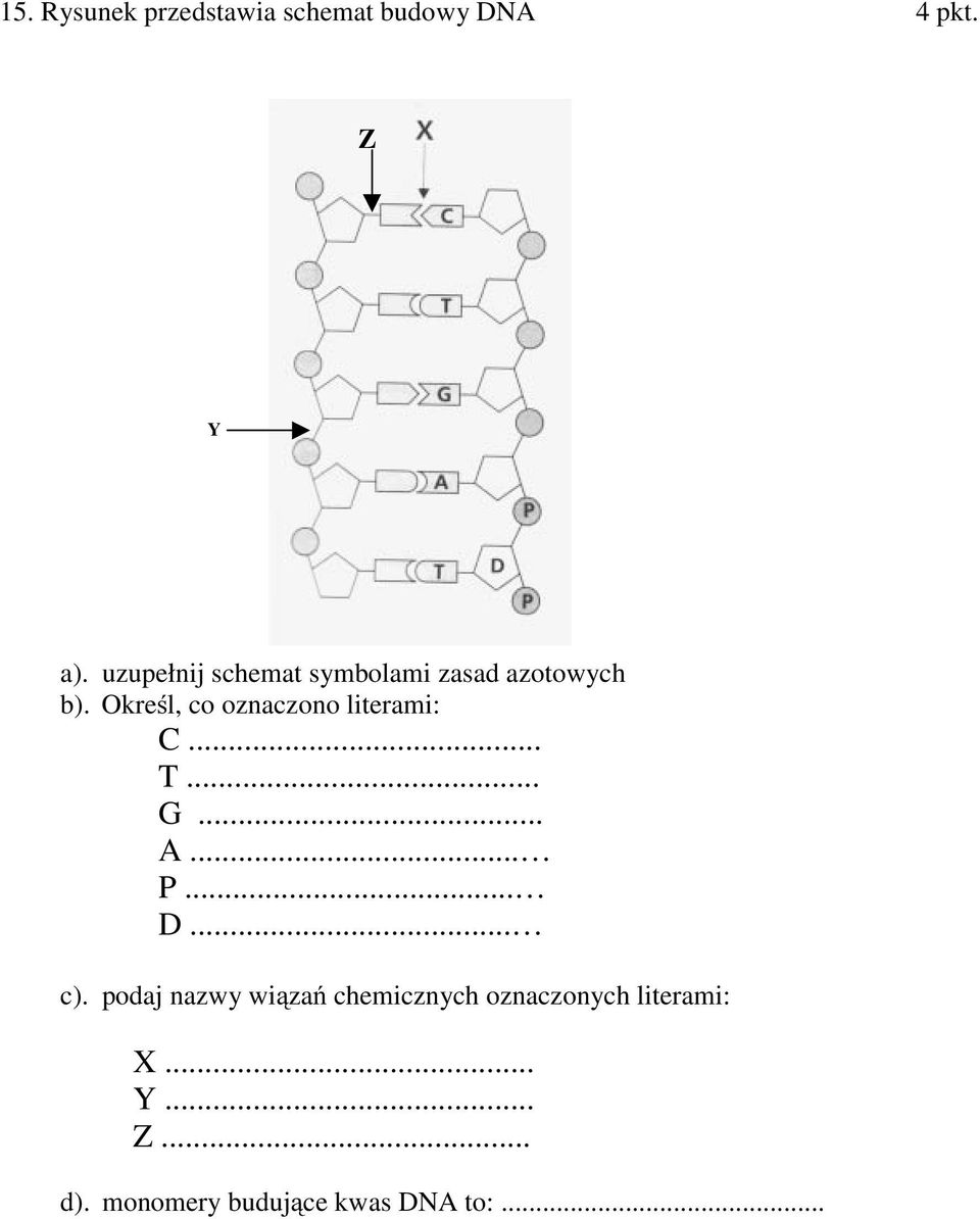 Określ, co oznaczono literami:... T......... P... D... c).