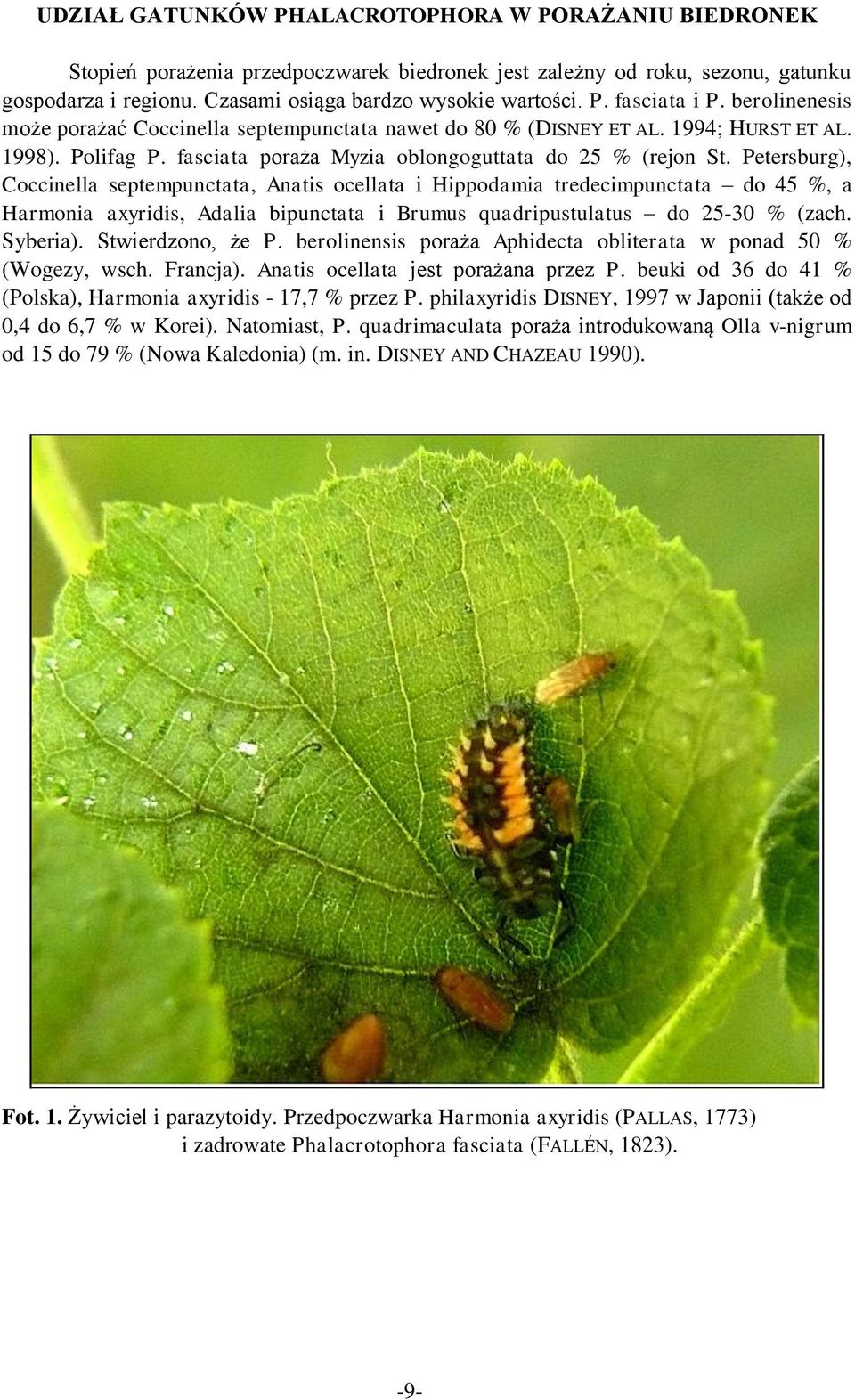 Petersburg), Coccinella septempunctata, Anatis ocellata i Hippodamia tredecimpunctata do 45 %, a Harmonia axyridis, Adalia bipunctata i Brumus quadripustulatus do 25-30 % (zach. Syberia).