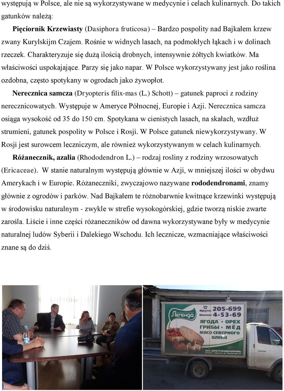 Charakteryzuje się dużą ilością drobnych, intensywnie żółtych kwiatków. Ma właściwości uspokajające. Parzy się jako napar.