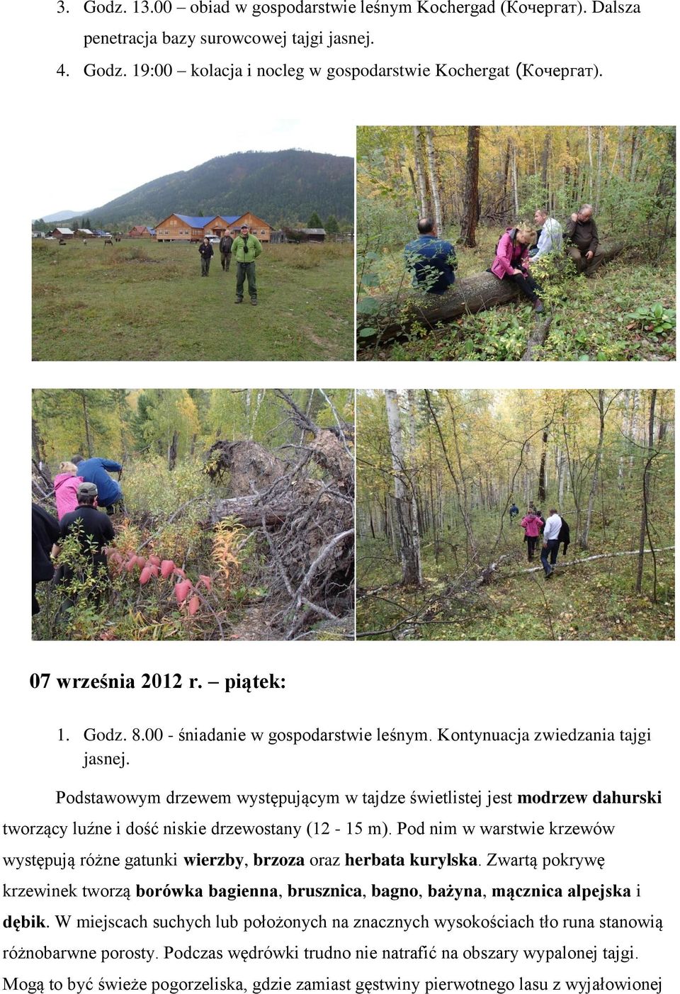 Podstawowym drzewem występującym w tajdze świetlistej jest modrzew dahurski tworzący luźne i dość niskie drzewostany (12-15 m).