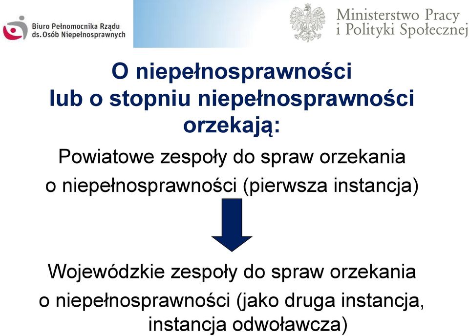 niepełnosprawności (pierwsza instancja) Wojewódzkie zespoły