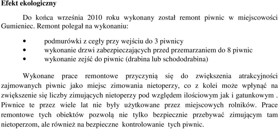 schododrabina) Wykonane prace remontowe przyczynią się do zwiększenia atrakcyjności zajmowanych piwnic jako miejsc zimowania nietoperzy, co z kolei może wpłynąć na zwiększenie się