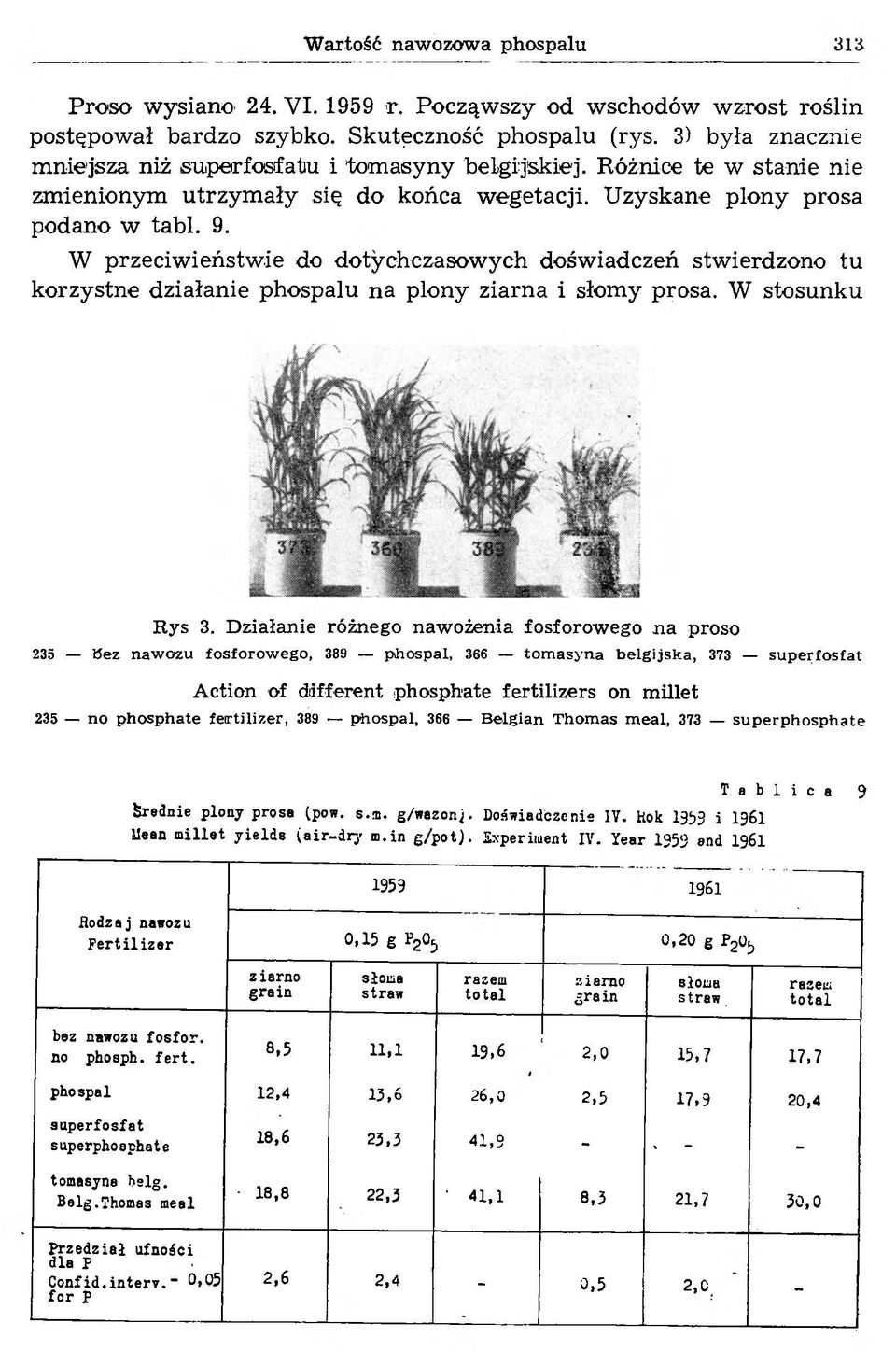 W przeciw ieństw ie do dotychczasowych doświadczeń stw ierdzono tu korzystne działanie phospalu n a plony ziarna i słom y prosa. W stosunku Rys 3.