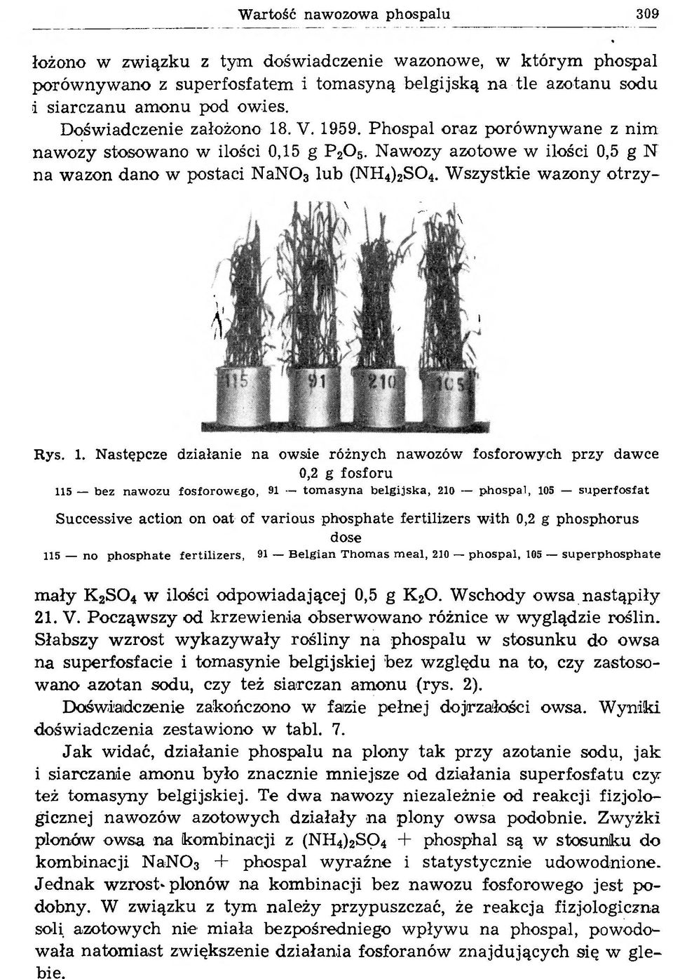 W szystkie wazony o trzy - Rys. 1.