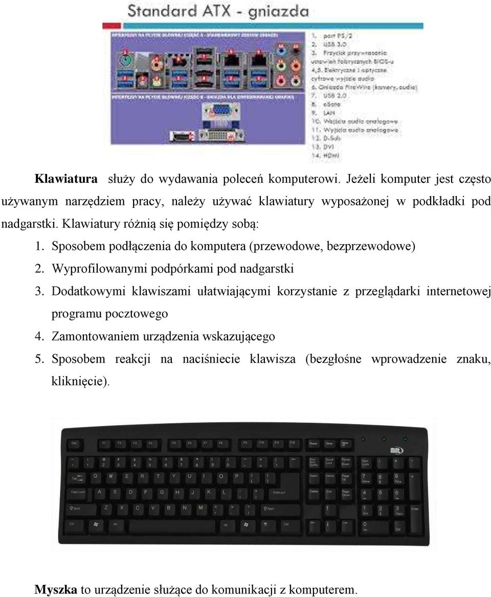 Klawiatury różnią się pomiędzy sobą: 1. Sposobem podłączenia do komputera (przewodowe, bezprzewodowe) 2. Wyprofilowanymi podpórkami pod nadgarstki 3.