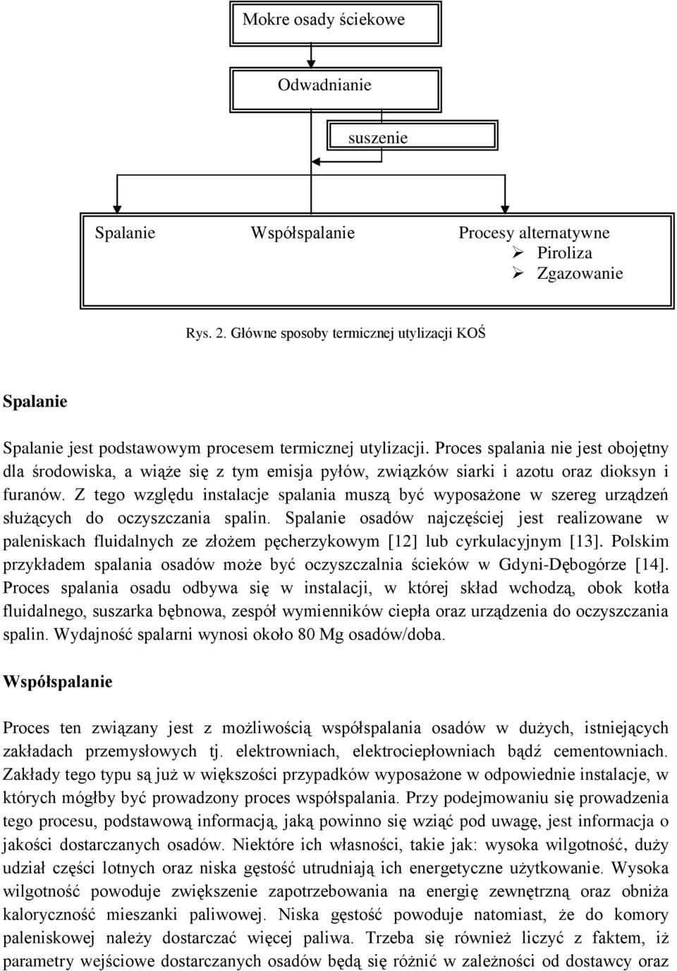 Proces spalania nie jest obojętny dla środowiska, a wiąże się z tym emisja pyłów, związków siarki i azotu oraz dioksyn i furanów.