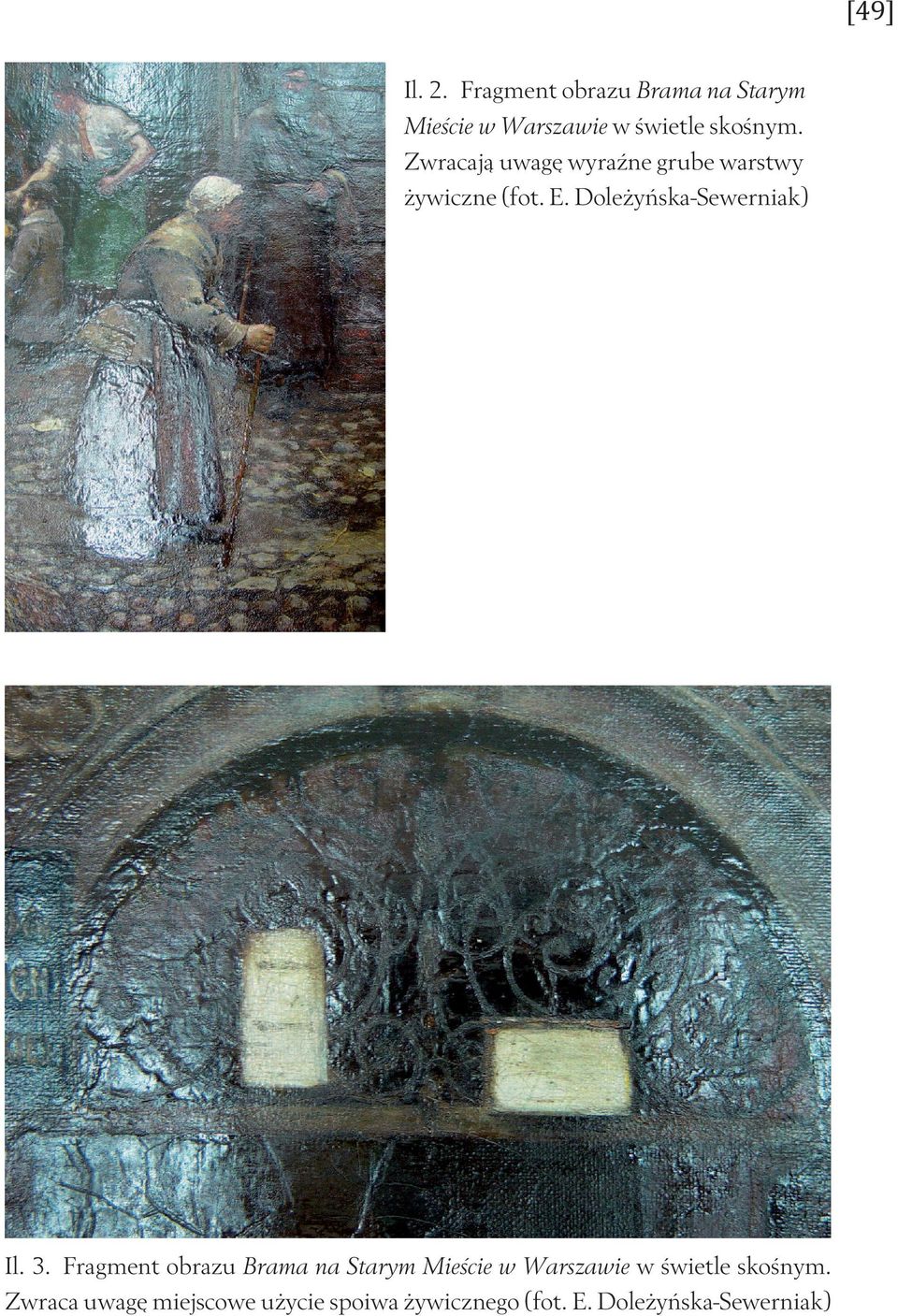Doleżyńska-Sewerniak) Il. 3.
