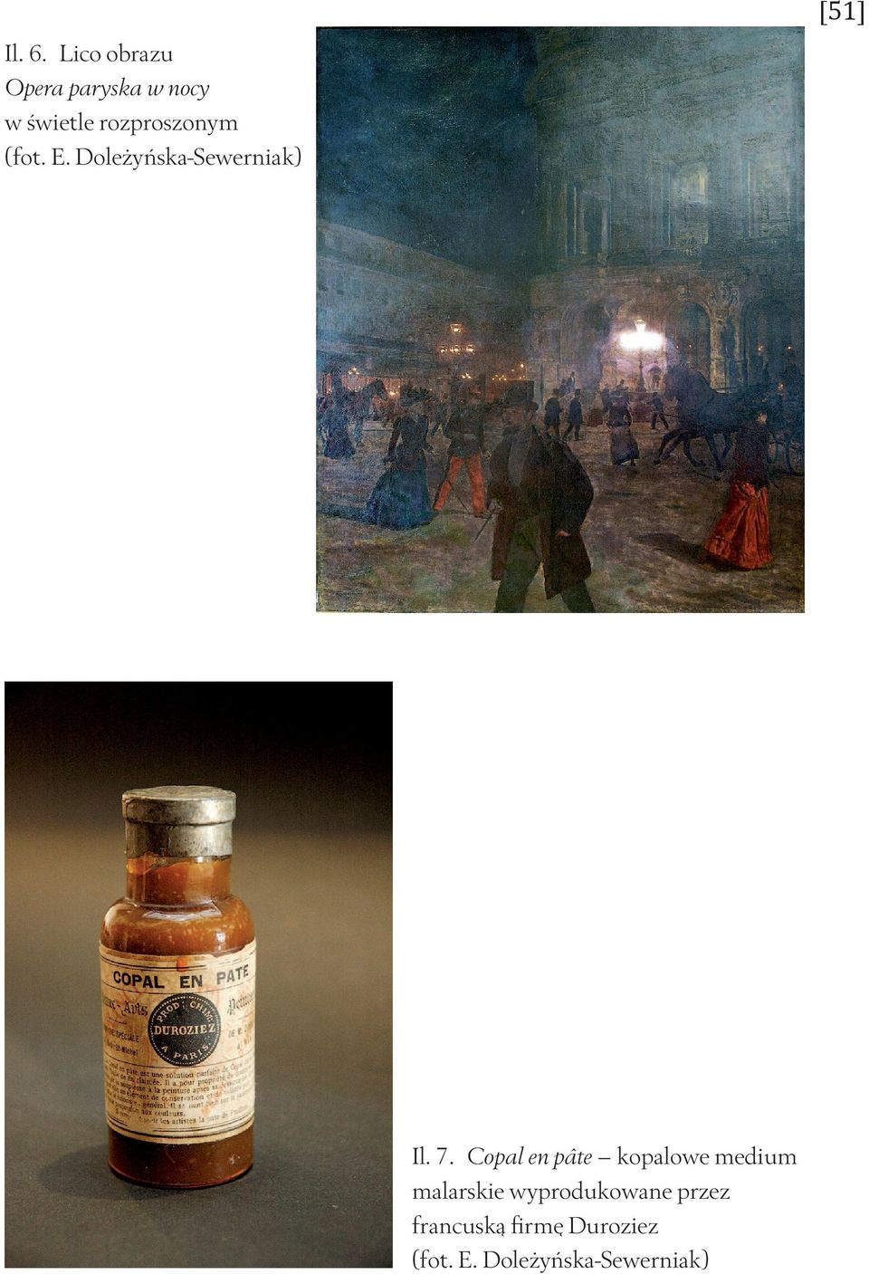 rozproszonym (fot. E. Doleżyńska-Sewerniak) Il. 7.