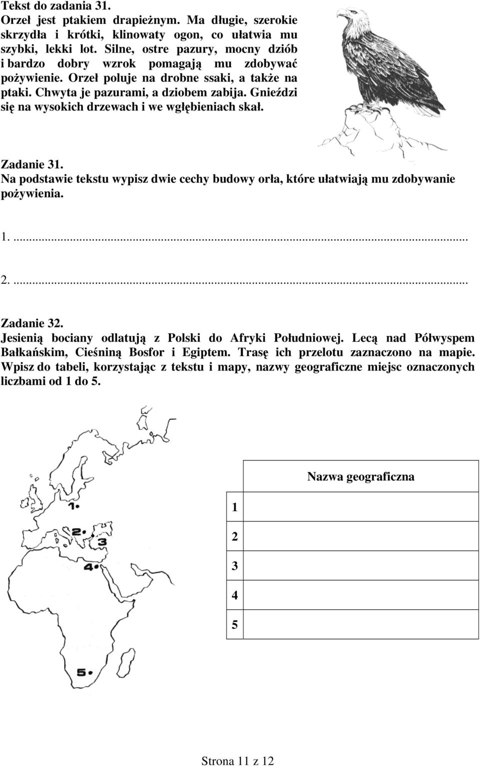Gnieździ się na wysokich drzewach i we wgłębieniach skał. Zadanie 31. Na podstawie tekstu wypisz dwie cechy budowy orła, które ułatwiają mu zdobywanie pożywienia. 1.... 2.... Zadanie 32.