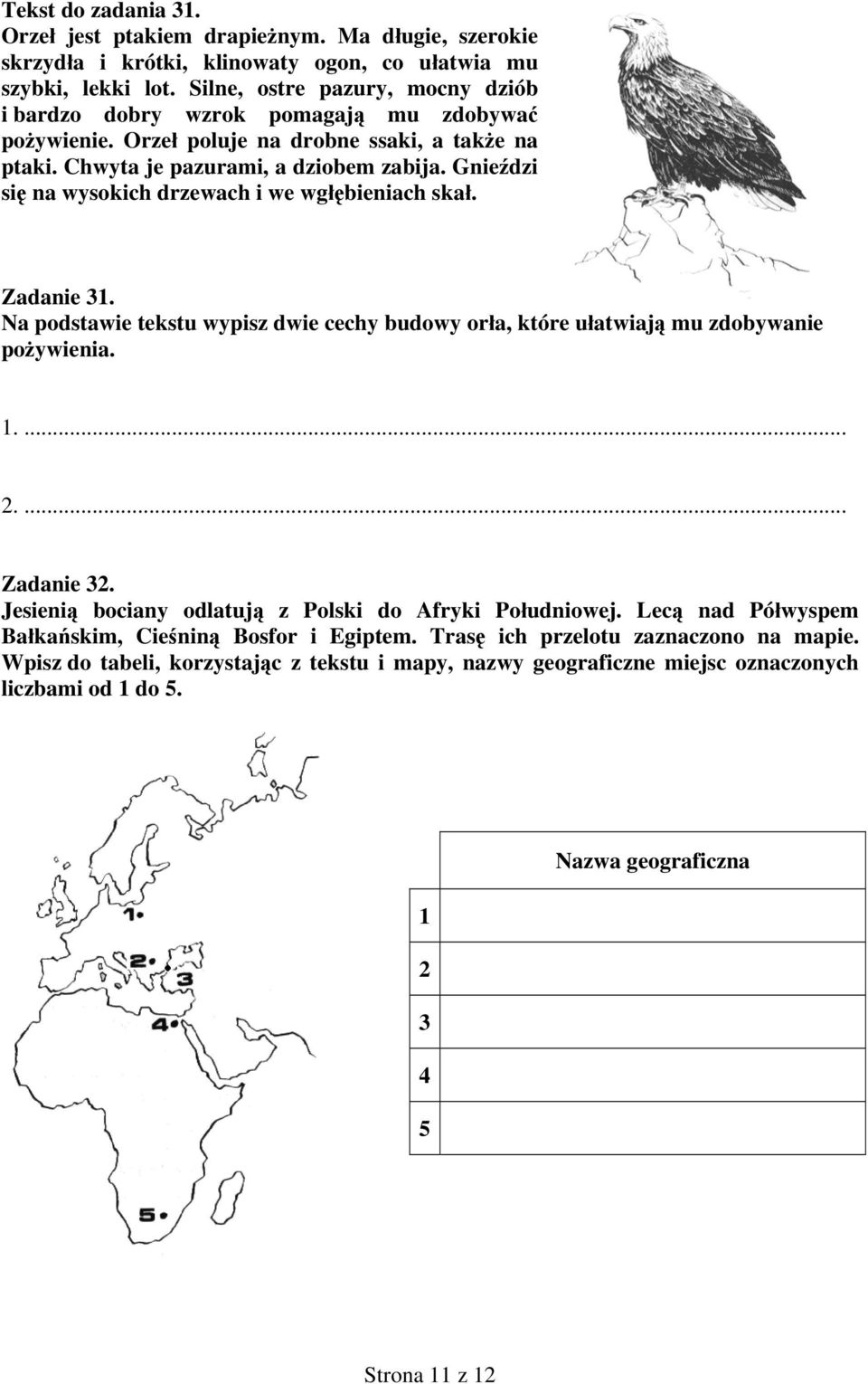 Gnieździ się na wysokich drzewach i we wgłębieniach skał. Zadanie 31. Na podstawie tekstu wypisz dwie cechy budowy orła, które ułatwiają mu zdobywanie pożywienia. 1.... 2.... Zadanie 32.