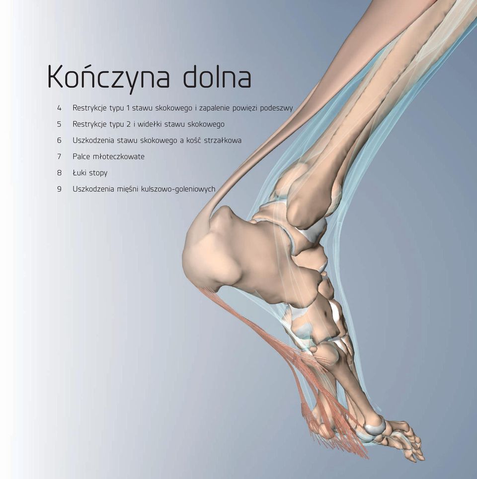 6 Uszkodzenia stawu skokowego a kość strzałkowa 7 Palce