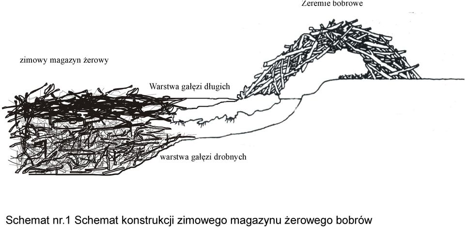 drobnych Schemat nr.