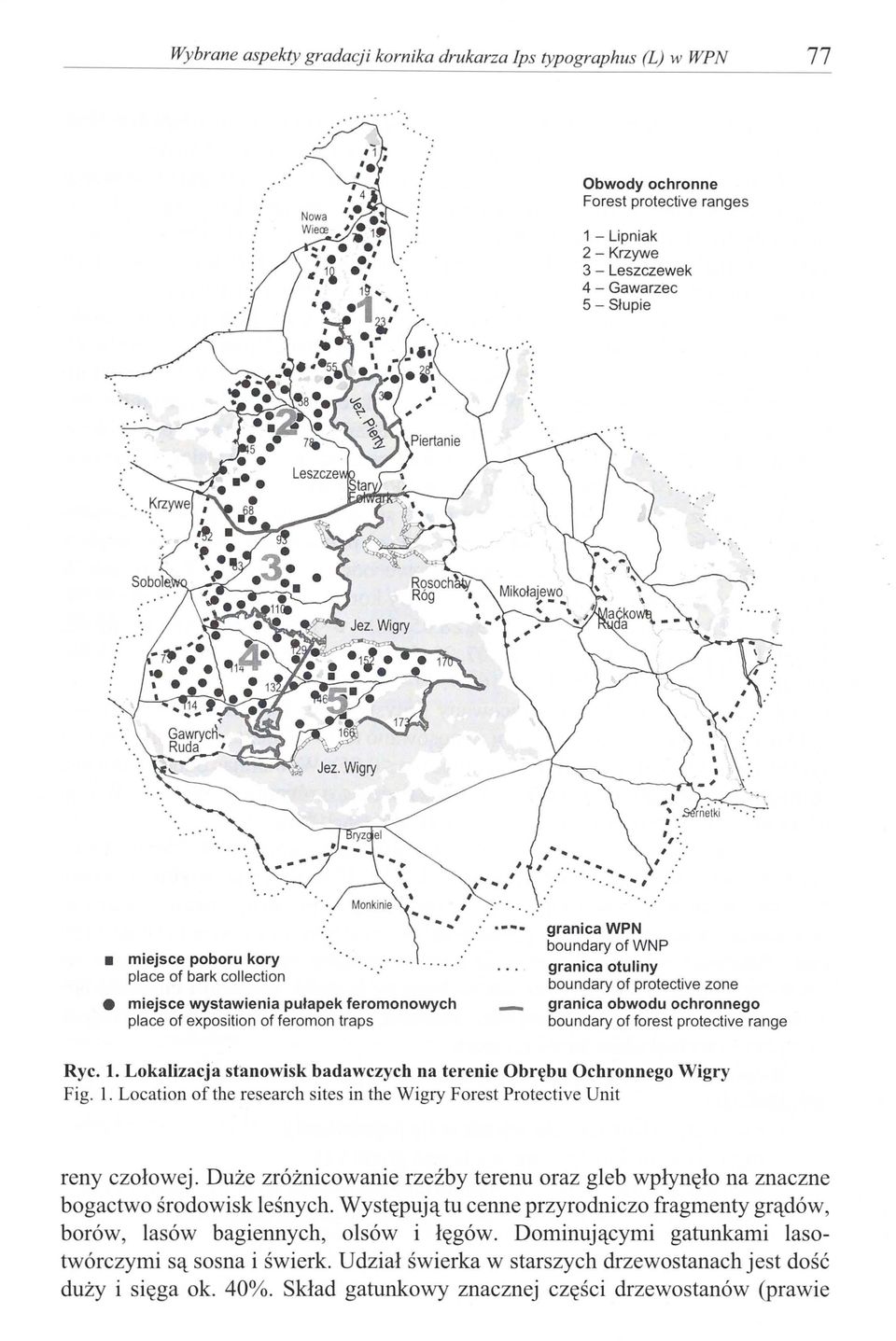 1. Lokalizacja stanowisk badawczych na terenie Obrębu Ochronnego Wigry Fig. l. Location of the research sites in the Wigry Forest Protective Unit reny czołowej.