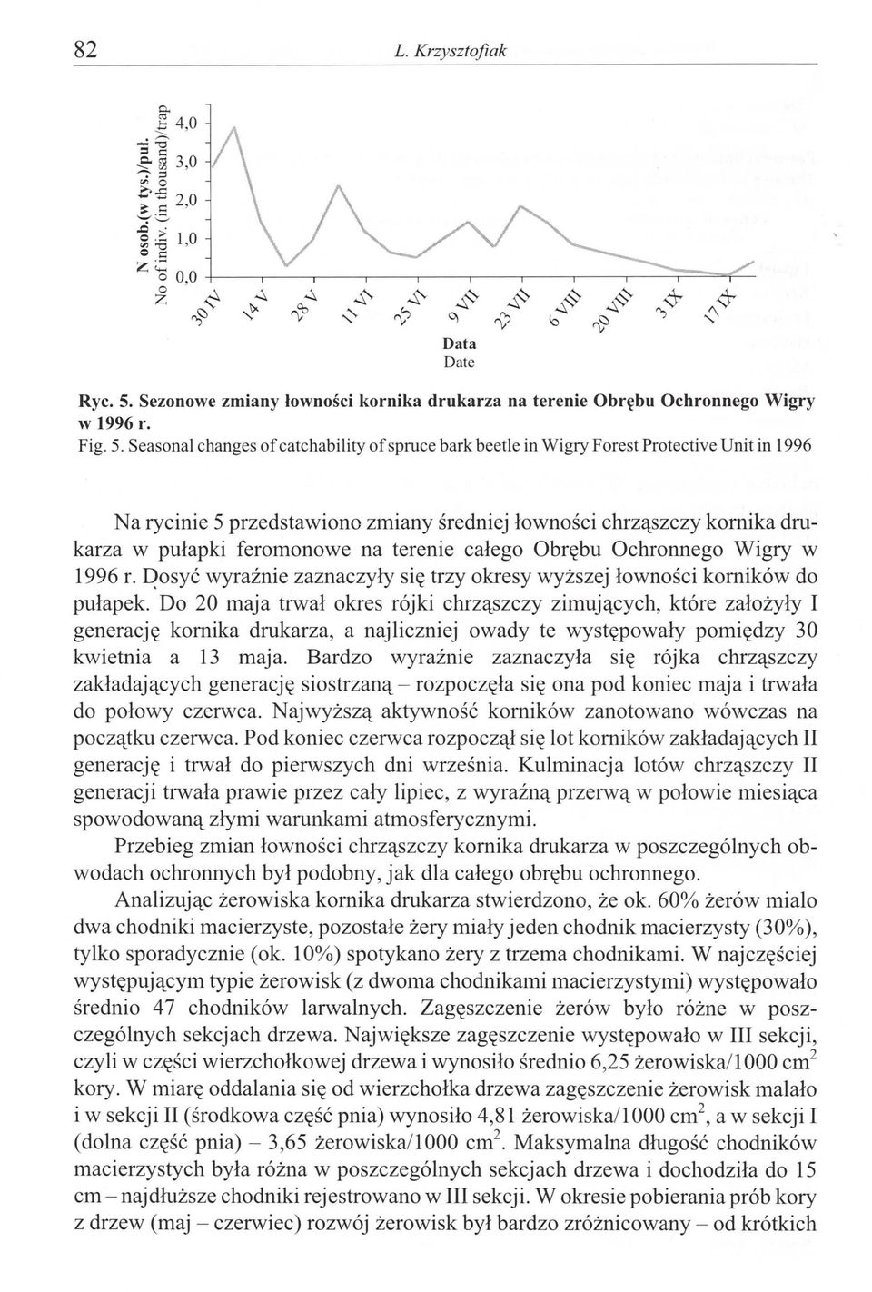 Seasonal changes of catchability of spruce bark beetle in Wigry Forest Protective Unit in 1996 Na rycinie 5 przedstawiono zmiany średniej łowności chrząszczy komika drukarza w pułapki feromonowe na