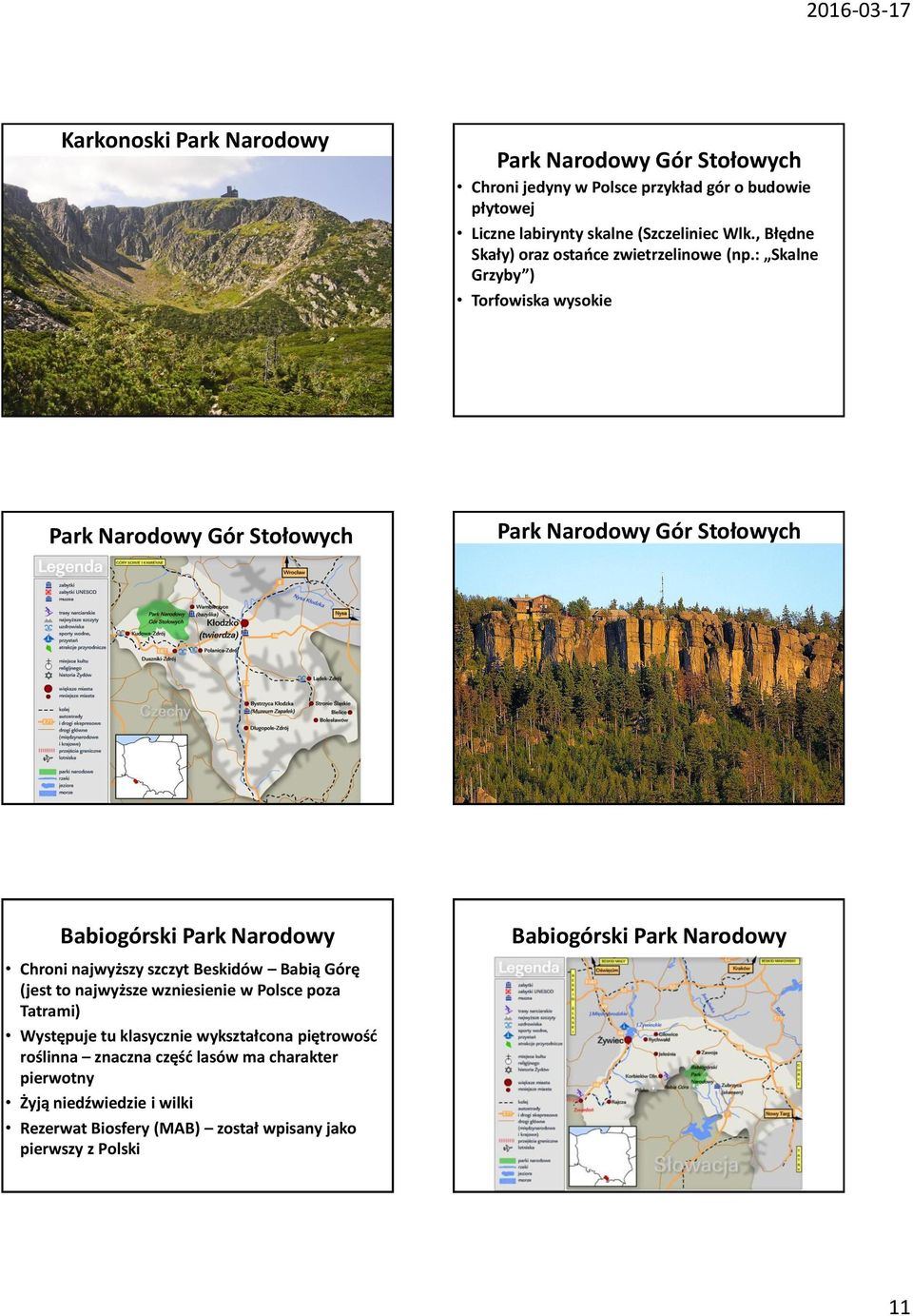 : Skalne Grzyby ) Torfowiska wysokie Park Narodowy Gór Stołowych Park Narodowy Gór Stołowych Babiogórski Park Narodowy Chroni najwyższy szczyt Beskidów Babią