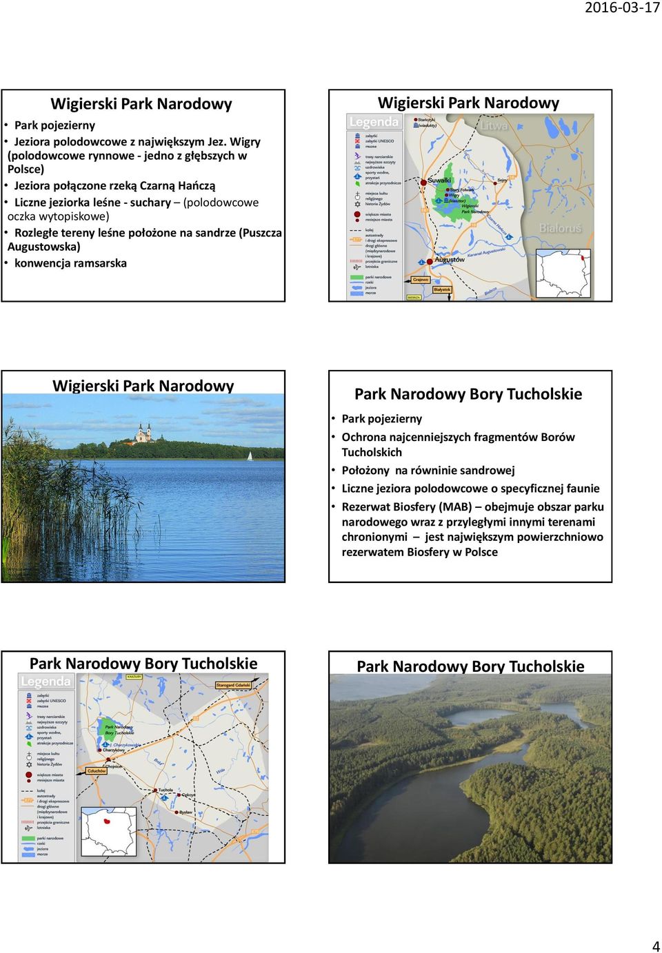 sandrze (Puszcza Augustowska) konwencja ramsarska Wigierski Park Narodowy Wigierski Park Narodowy Park Narodowy Bory Tucholskie Park pojezierny Ochrona najcenniejszych fragmentów Borów
