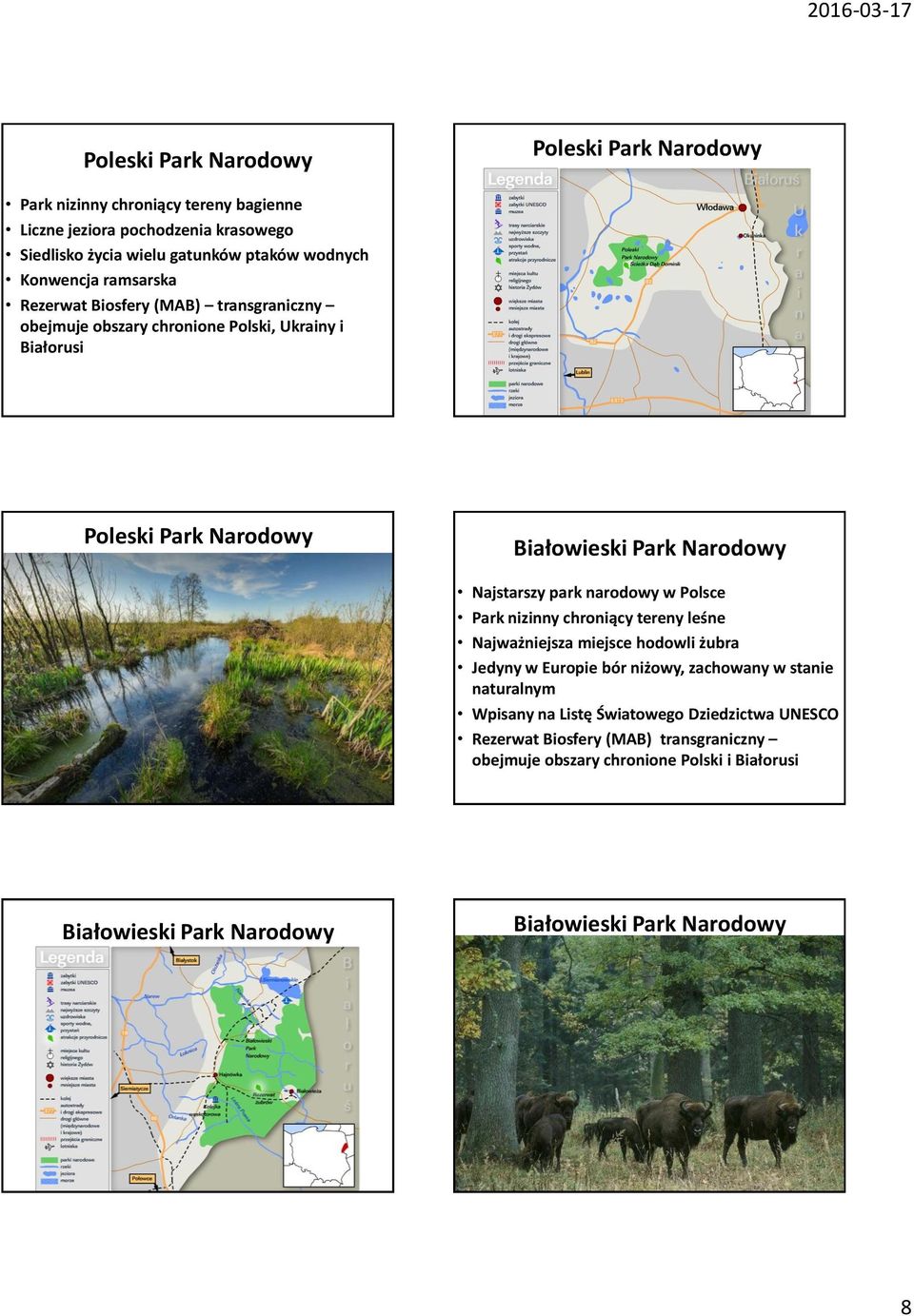 Najstarszy park narodowy w Polsce Park nizinny chroniący tereny leśne Najważniejsza miejsce hodowli żubra Jedyny w Europie bór niżowy, zachowany w stanie naturalnym