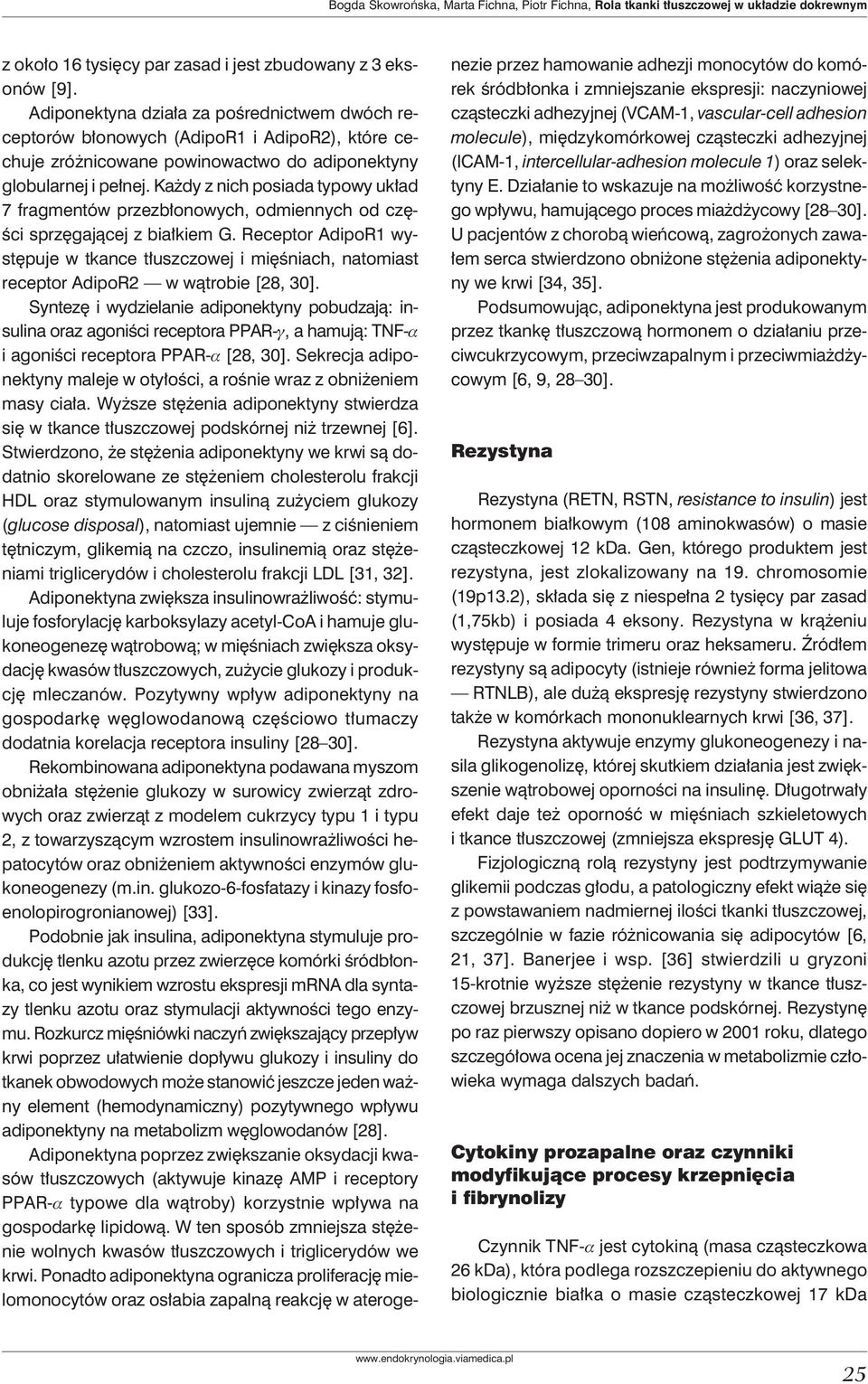 Każdy z nich posiada typowy układ 7 fragmentów przezbłonowych, odmiennych od części sprzęgającej z białkiem G.