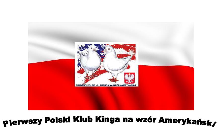 Kubiak Henryk 260 6 Jankowski Grzegorz 241 7 Malinowski Sławomir 237 8 BIAŁA samica stara Kasperski