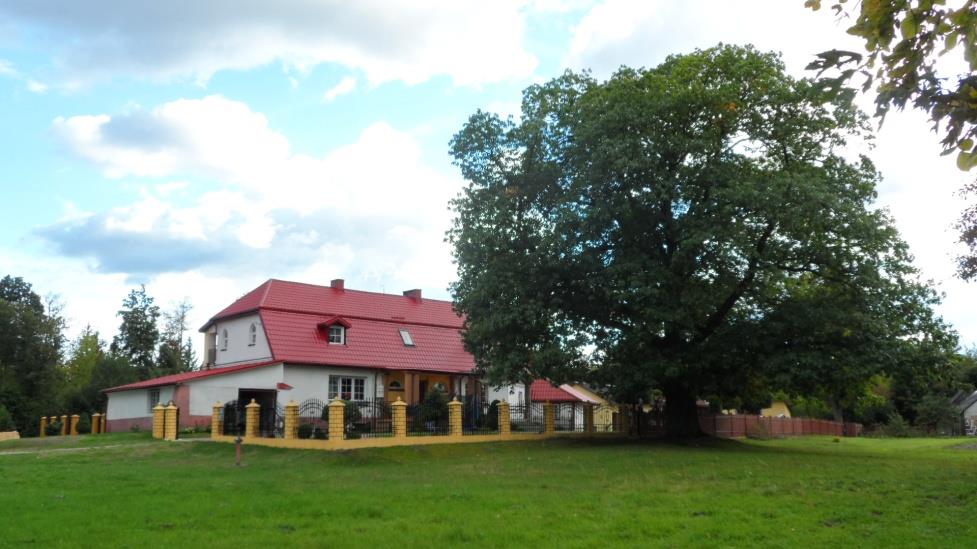 Dąb czerwony szacowany wiek około 200 lat, zlokalizowany w zespole dworskim w Dębówce, który powstał w XIX w. i obejmował: dwór, park, zabudowania folwarczne, czworaki, ogrody warzywne, sady oraz las.