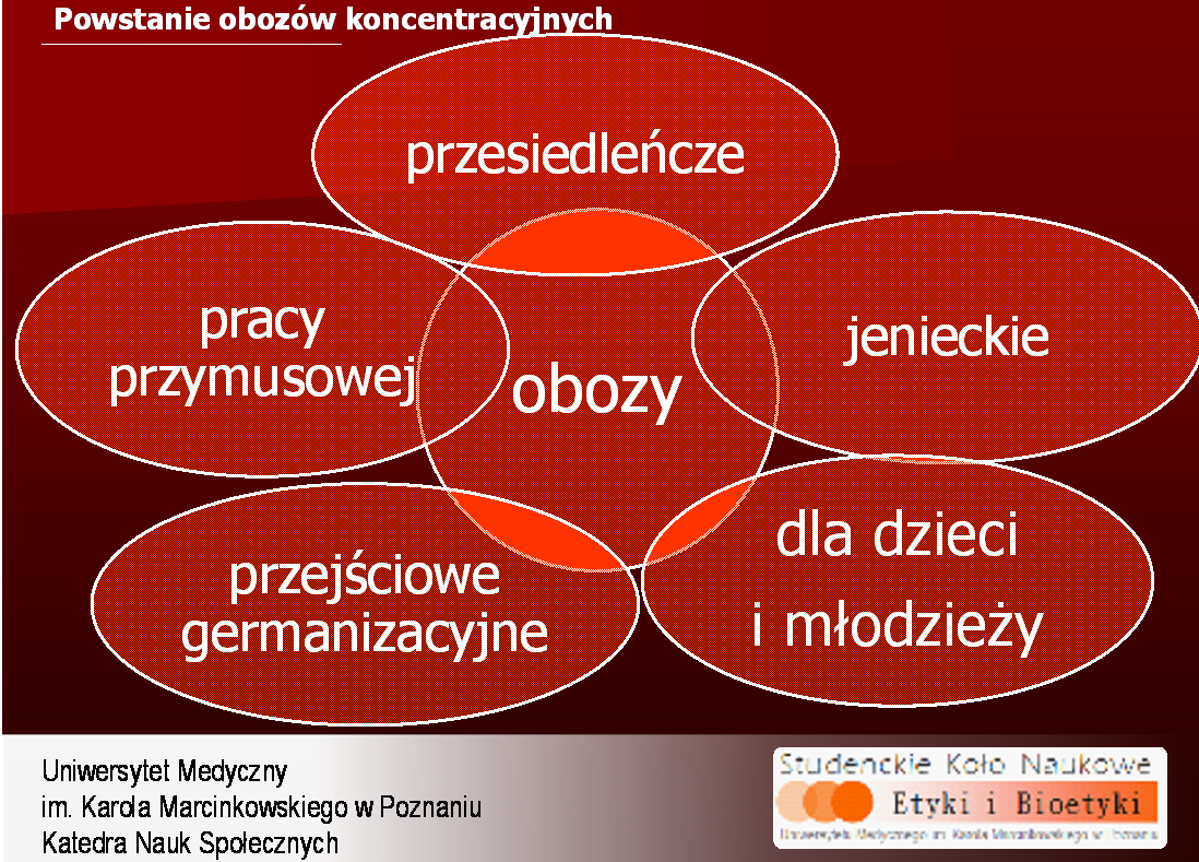 Powstanie obozów koncentracyjnych 1933-39 powstały m.in.