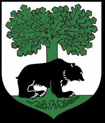Powierzchnia miasta to 48 km 2, co klasyfikuje je na czwartym miejscu wśród największych miast województwa zachodniopomorskiego i stanowi 2,72% powierzchni całego powiatu szczecineckiego.