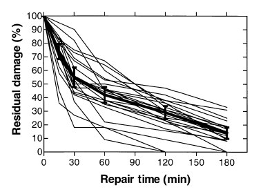 Is the comet assay a good endpoint to assess the individual radiosensitivity?