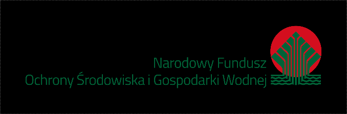 INSTRUKCJA WYPEŁNIANIA WNIOSKU O DOFINANSOWANIE Podtytuł prezentacji POIiŚ 2014-2020 - działanie 2.