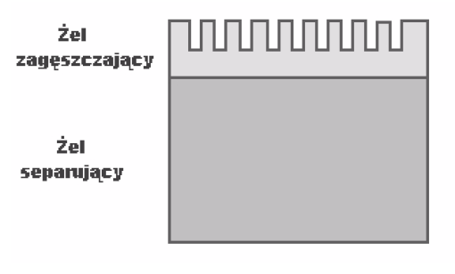 Tab.2. Skład żelu zagęszczającego 5% o objętości 8ml ( ilość wystarczająca na cztery żele) Odczynnik Żel 5% Woda demineralizowana 5,5ml 30% roztwór akrylamidu 1,3ml mix 0,5M Tris-HCl, ph 6.