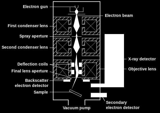 Mikroskopia elektronowa Już w XIX wieku został osiągnięty limit rozdzielczości (200 nm), a co za tym idzie maksymalne powiększenie (ok 2000x) jakie można uzyskać przy pomocy mikroskopii świetlnej.