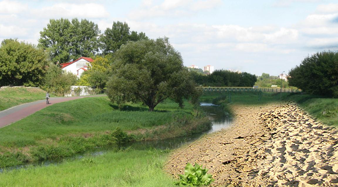 Zieleń oraz plaże w dolinie Bystrzycy Dla urozmaicenia estetyki całego ciągu