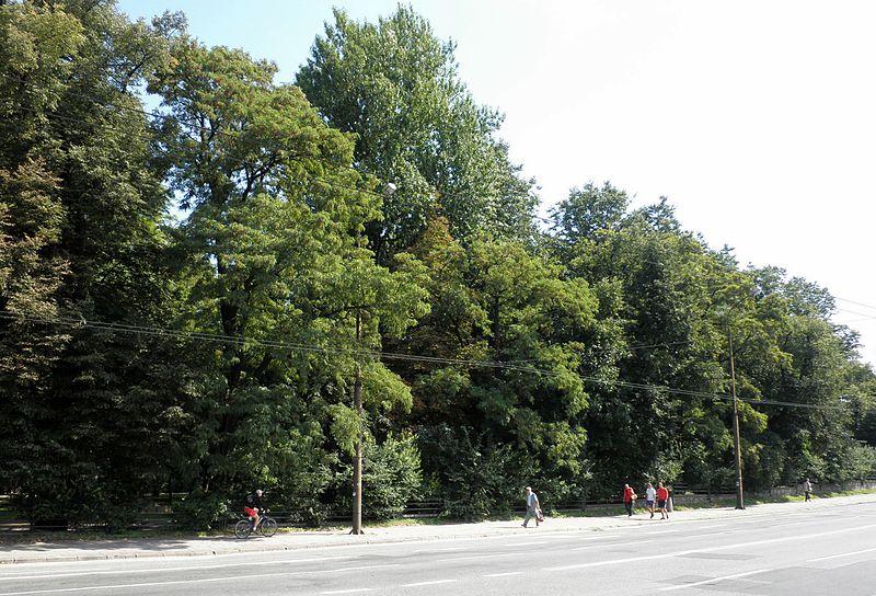 Zagospodarowanie parków miejskich w dolinie rzeki