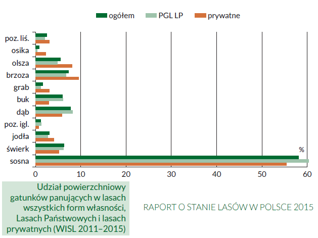 Ogólne informacje dotyczące norweskiego leśnictwa skład gatunkowy.