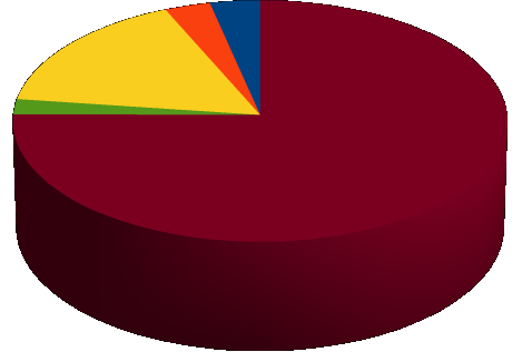 Struktura rekompensaty 2012 Całkowita dopłata: 4 874 778,75 zł 794 786,04 zł 16,30% 97 215,00 zł 1,99% 153 207,31 zł 3,14% 167 198,41 zł 3,43% Dystrybucja biletów