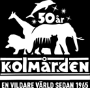 i trudny do zaobserwowania Żyje pojedynczo lub w małych grupach (matka + młode ± roczniak) Rozmieszczenie morświnów w Europie 2005 2005 N UK Beneficjenci, podwykonawcy, partnerzy i współfinansujący w