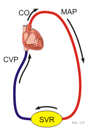 Ciśnienie tętnicze