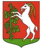 Na audycji muzycznej pani pokazała nam kukiełkę, która nazywała się Tomcio Paluszek. Po chwili weszła para w lubelskich strojach. Te stroje były własnoręcznie wyszyte.
