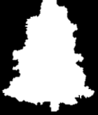 Choinka Zwyczaj przynoszenia do domu i ubierania choinka, czyli drzewka świerku lub jodły, pochodzi z XVI wieku i narodził się wśród niemieckich protestantów.